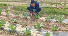 【市城市燃熱集團富泰熱力】班定營供暖分公司黨建引領(lǐng)場站建設(shè)結(jié)碩果